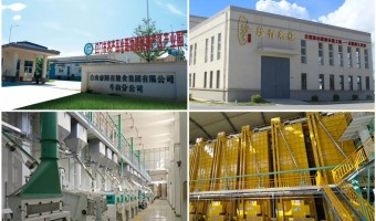 新聞中心-臺(tái)山市國(guó)有糧食集團(tuán)有限公司-奮戰(zhàn)“百千萬(wàn)工程” 建好“臺(tái)山糧倉(cāng)” ——臺(tái)國(guó)糧集團(tuán)斗山糧食加工廠榮獲“AAA級(jí)糧庫(kù)”稱(chēng)號(hào)